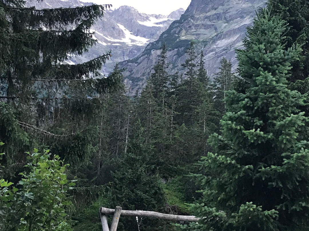 Handeck - Hotel and Naturresort主图