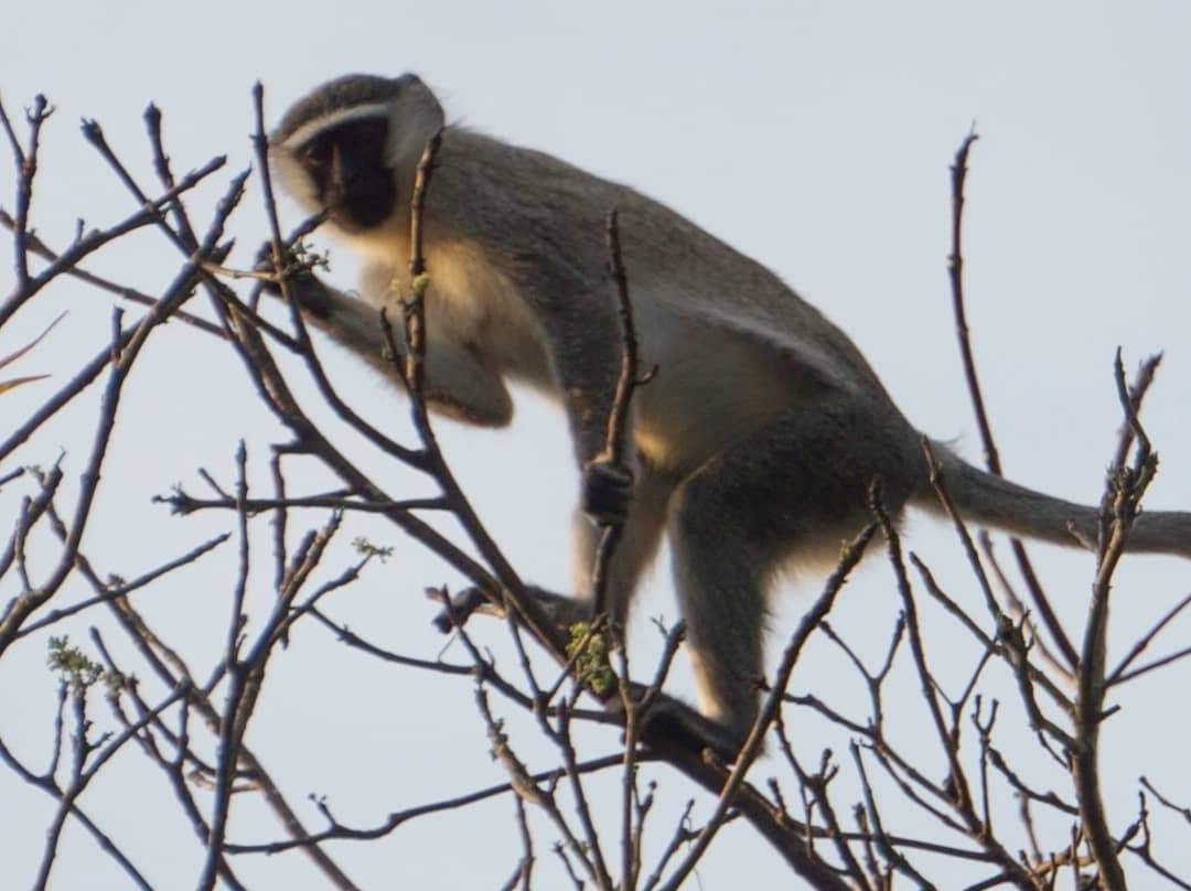 Kibale Homestay主图