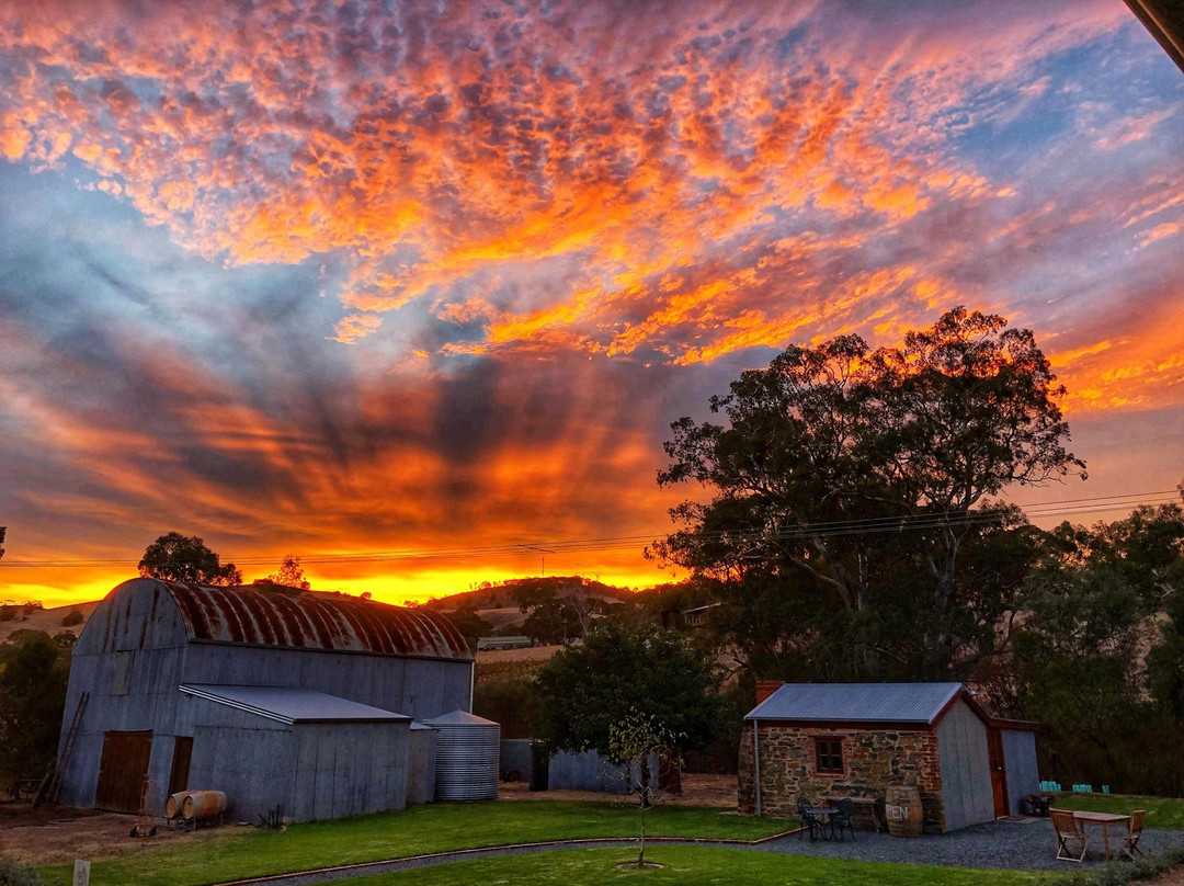 Krondorf Creek Farm-巴罗莎山谷必去景点