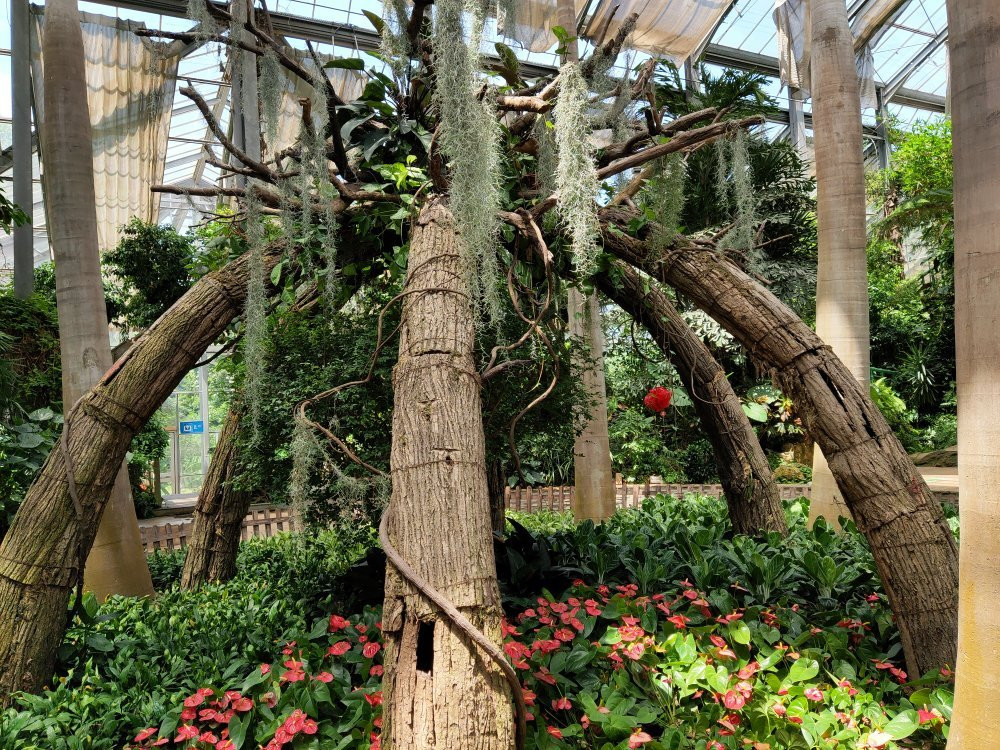 中科院植物园-武汉市必去景点