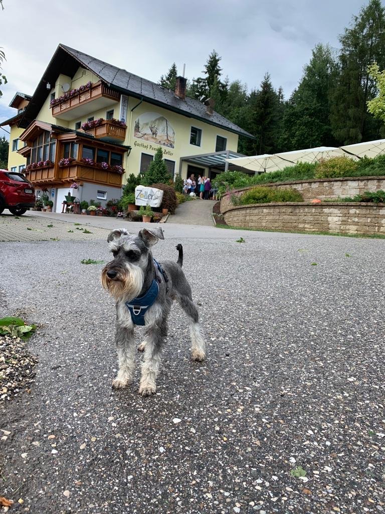 Gasthof Pension Zoller-官方