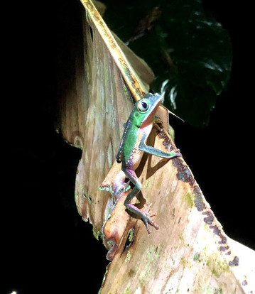 Anaconda Lodge Ecuador主图