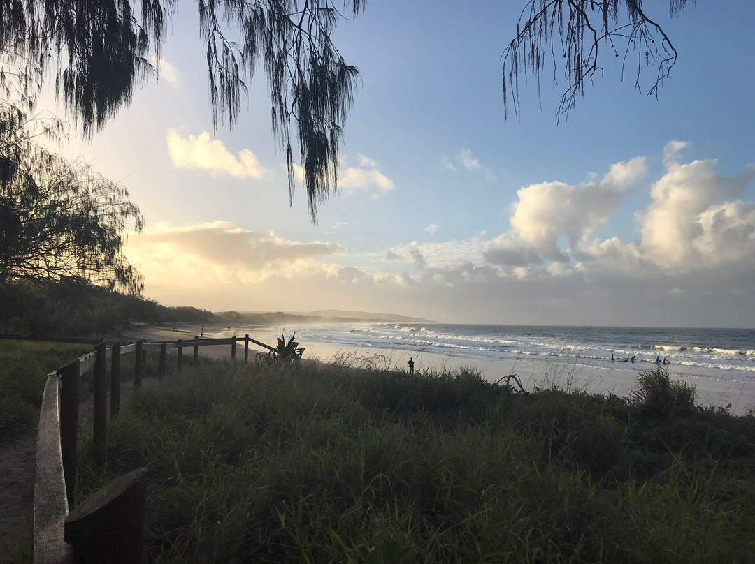 Mango Tree Motel主图