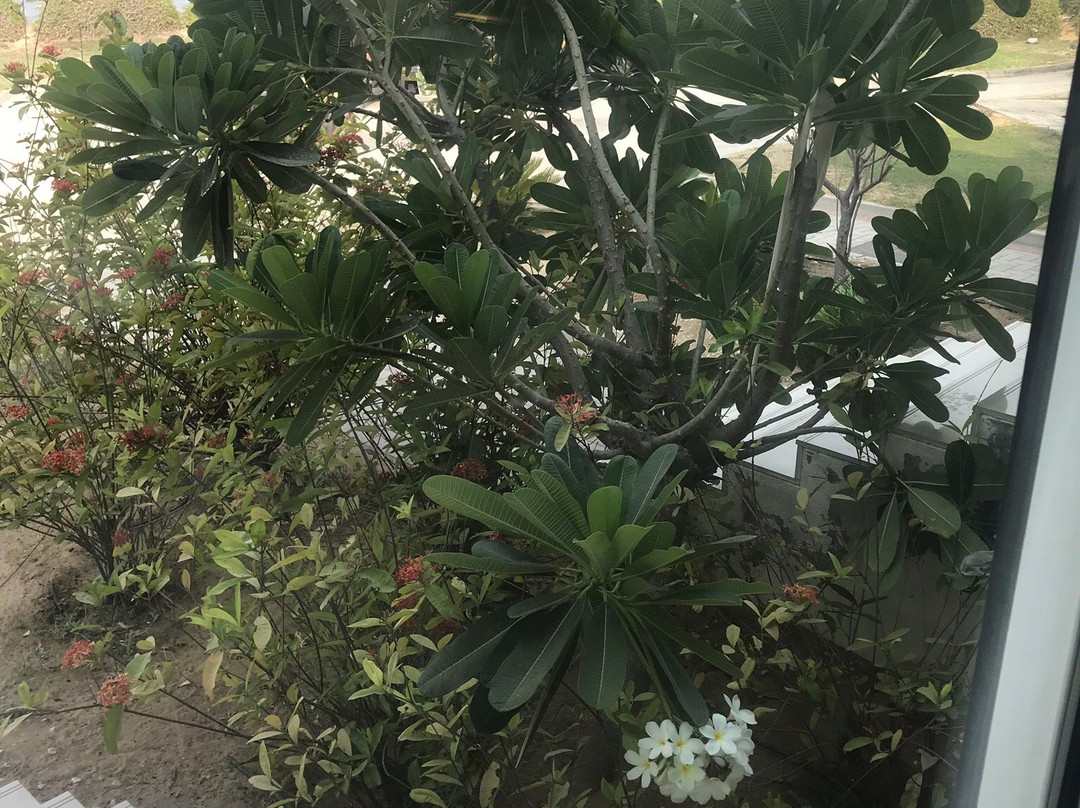 Imar Spa-乌姆盖万必去景点