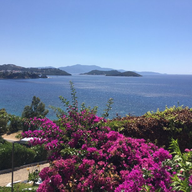 Hotel Villa Alexis-官方