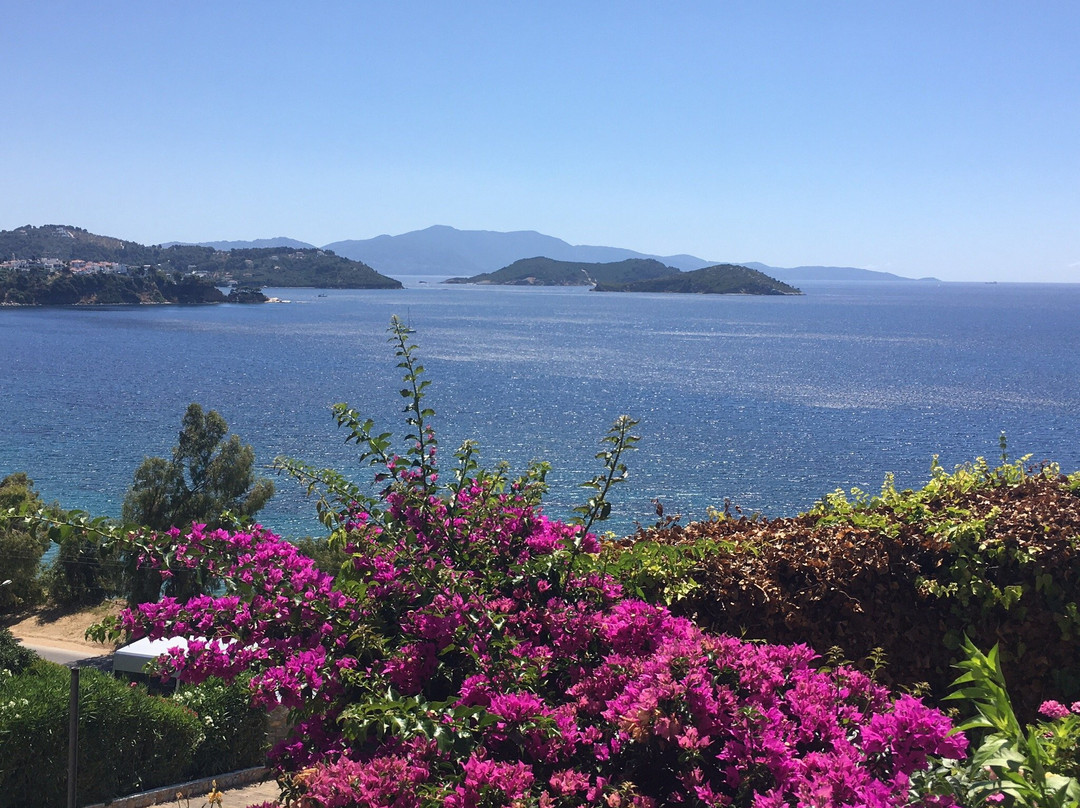 Hotel Villa Alexis主图