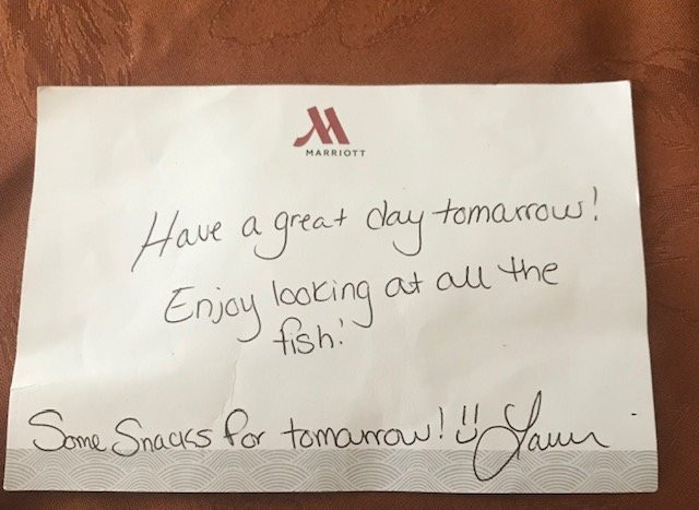 Mystic Marriott Hotel & Spa主图