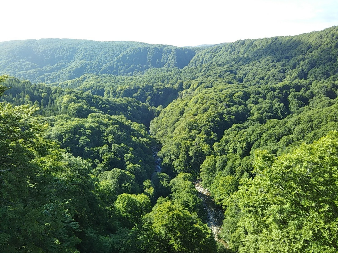 Jogakura Stream-青森市必去景点