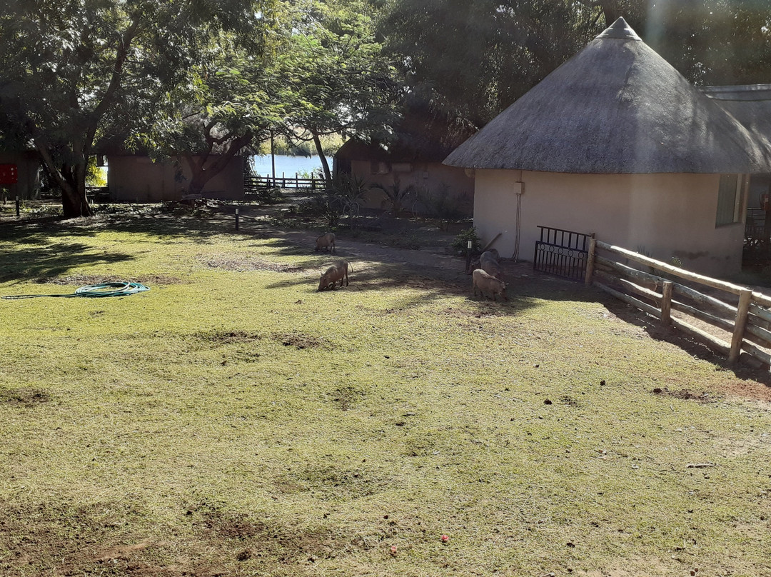 Chobe Safari Lodge主图