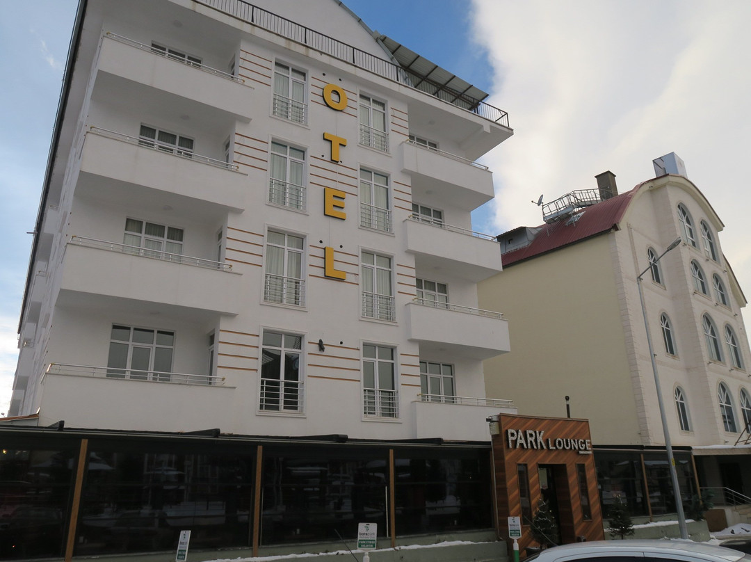 Borapark Hotel主图