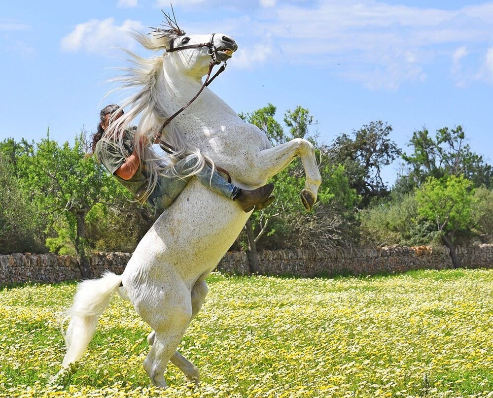 Rancho Jaume景点图片