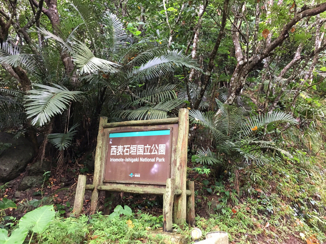 Nosoko Forest Road-石垣市必去景点