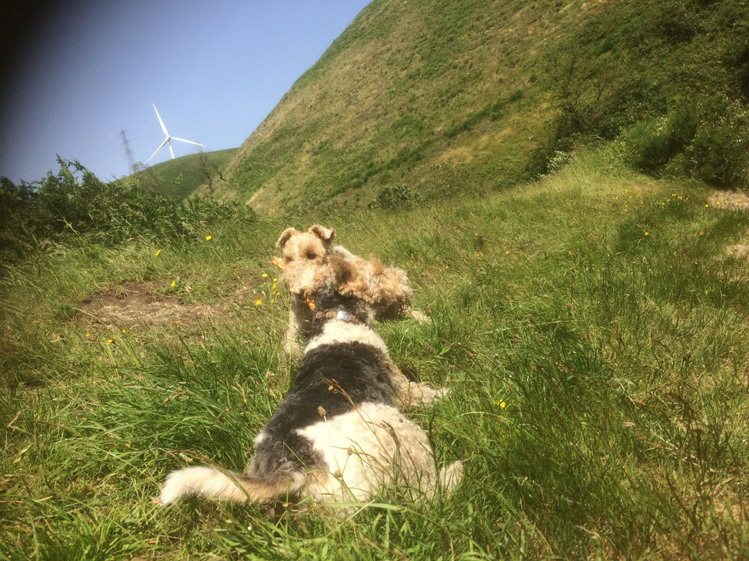 Cadoxton旅游攻略图片