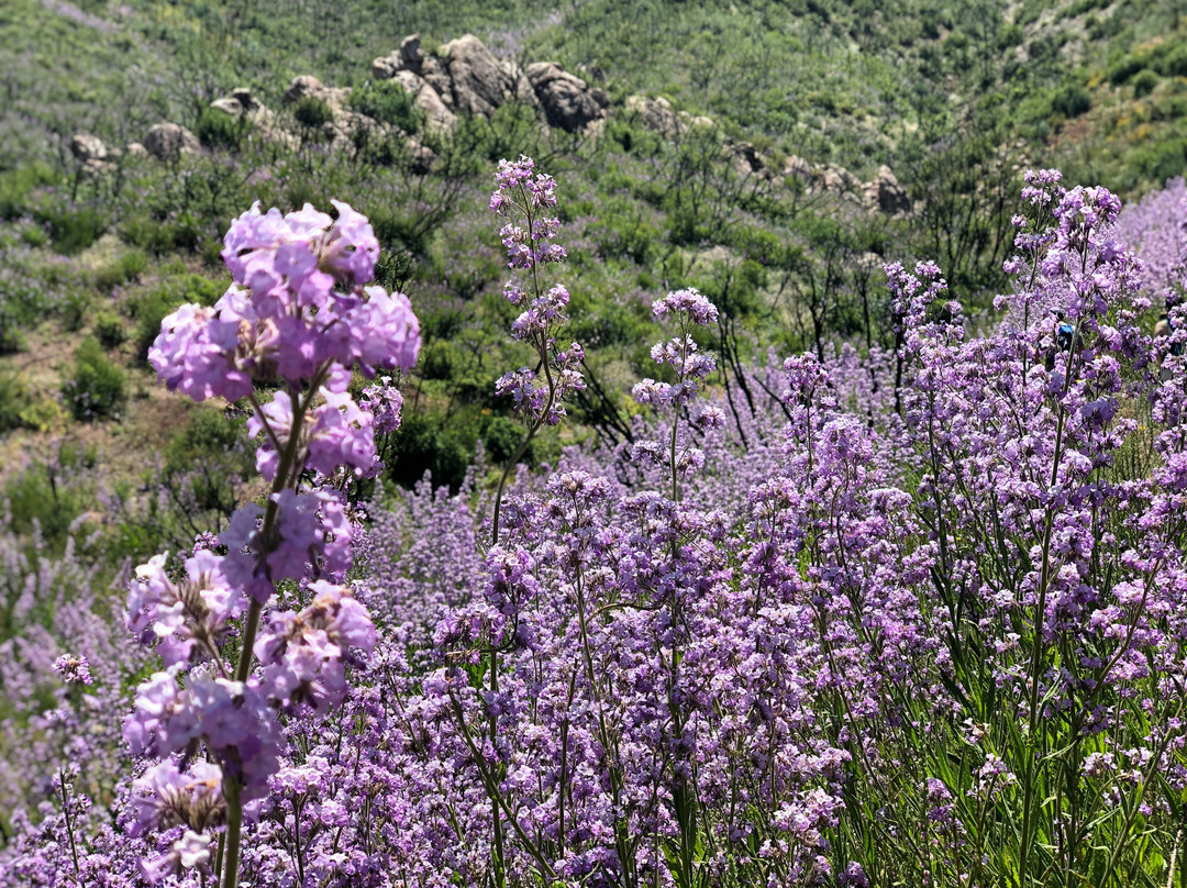 Howard Creek Trail-奥海必去景点