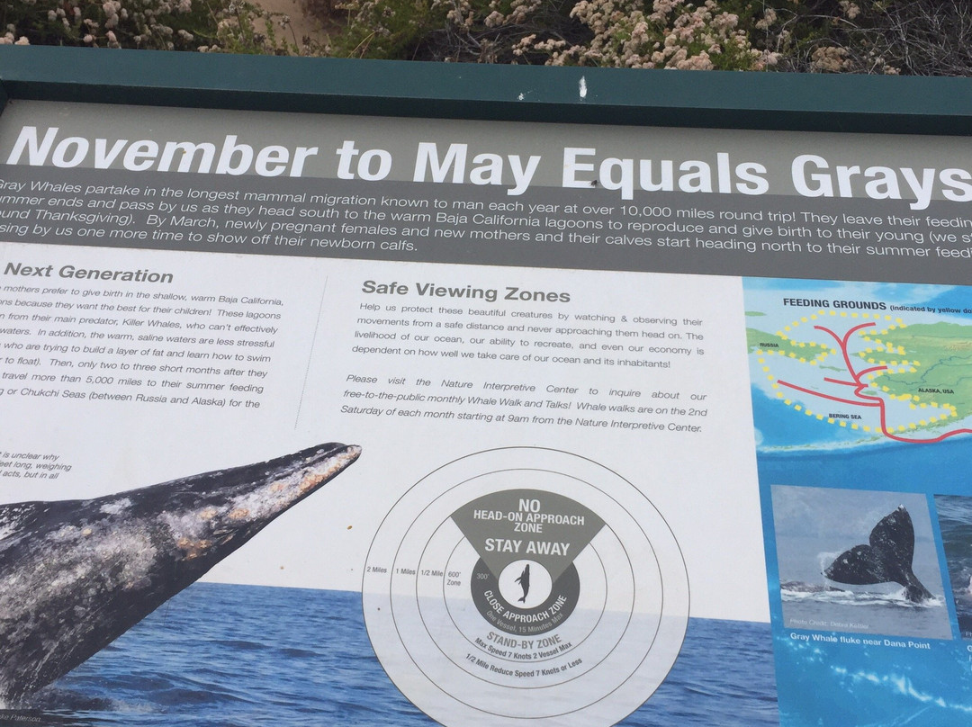 Dana Point Nature Interpretive Center-德纳角必去景点