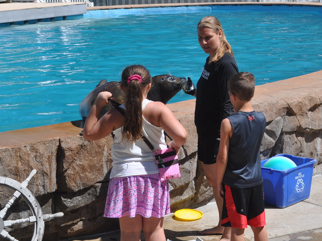 Oceans of Fun-密尔沃基必去景点