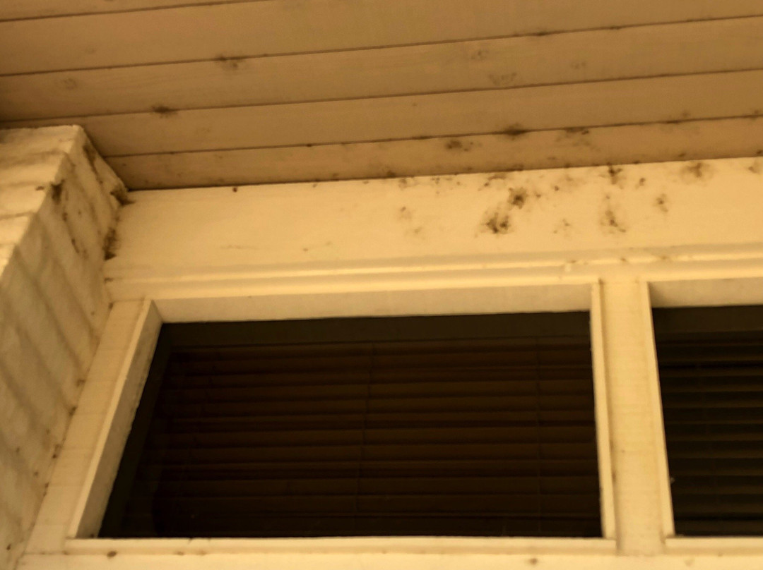 帕拉梅萨高尔夫度假酒店主图