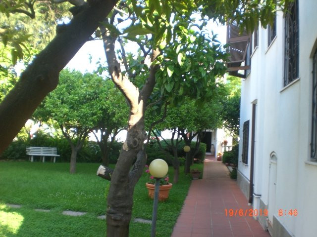 Orange Tree Villa Hotel主图