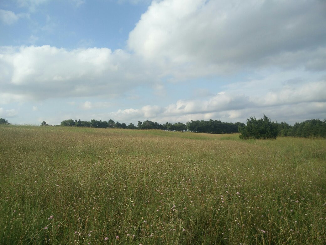 Erwin Park Hike & Bike Trail景点图片