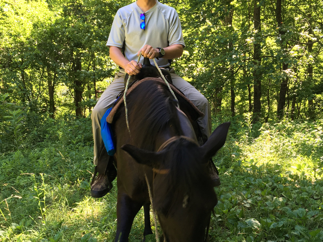 Lonesome Dove Riding Stables景点图片