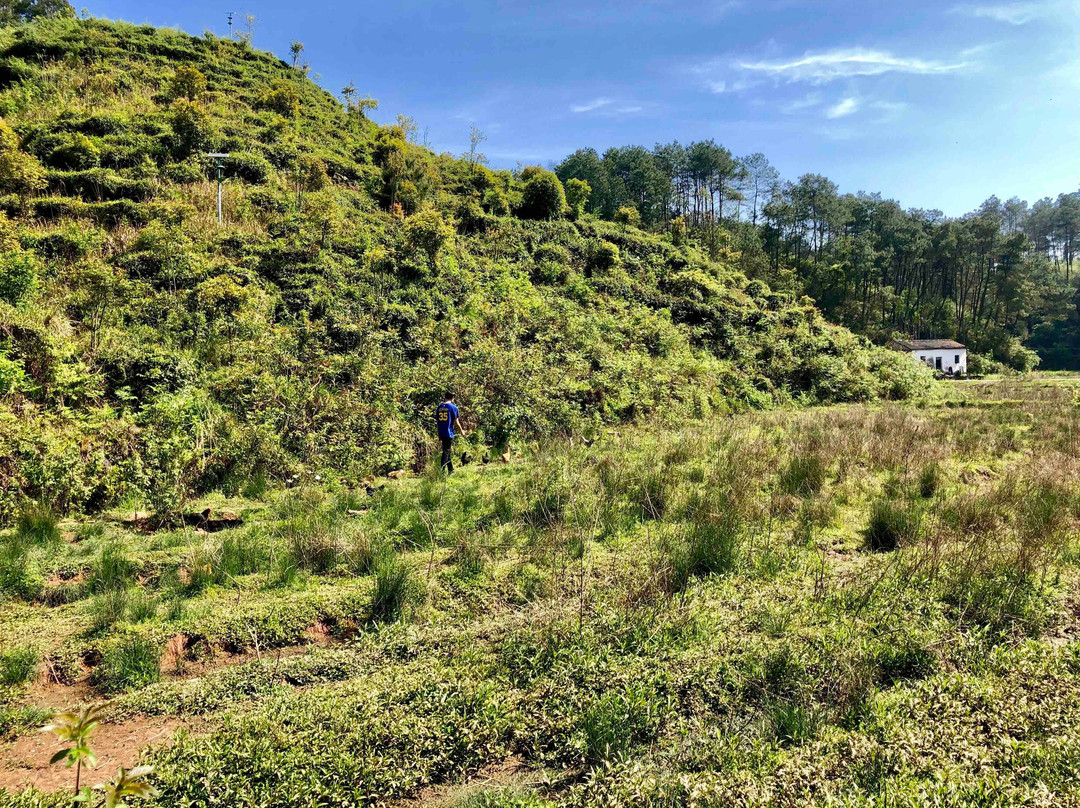 黄山屯溪山城-黄山市必去景点