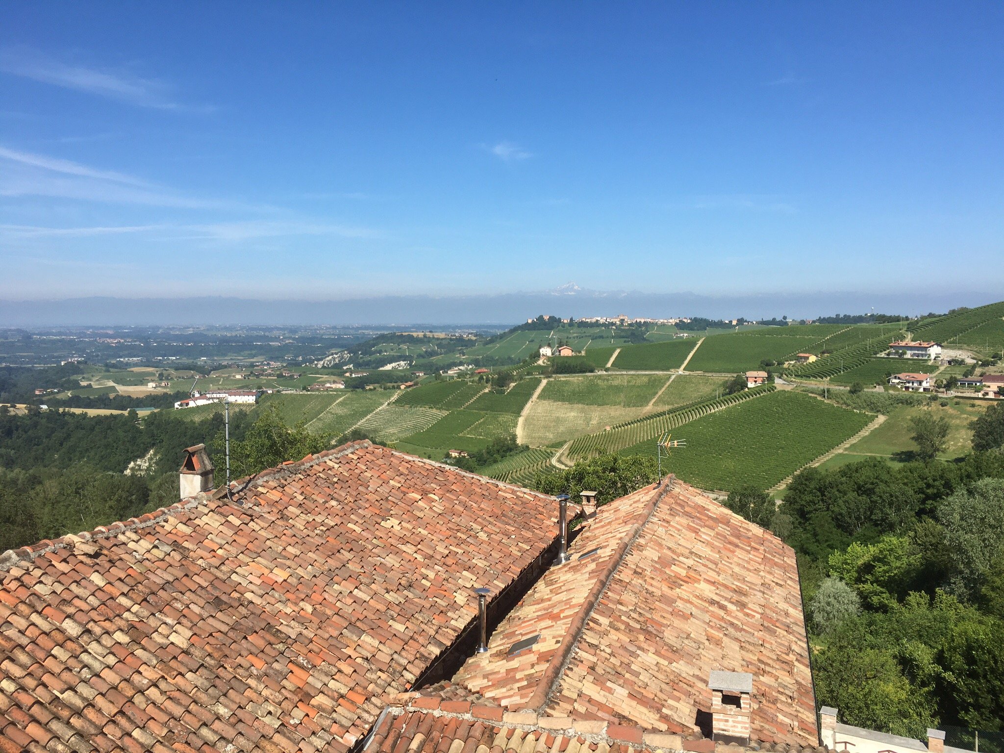 Hotel Il Grappolo D'Oro-官方