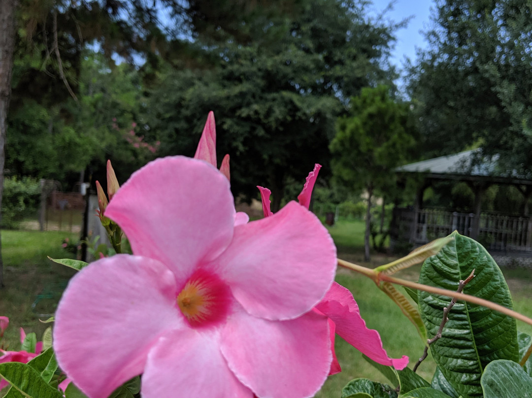 Hutchinson Farm Winery-Apopka必去景点