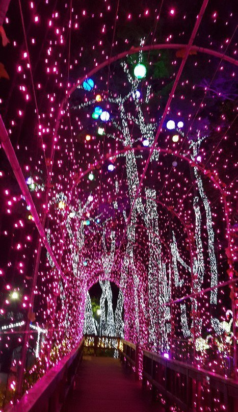 Suyanggae Light Tunnel-丹阳郡必去景点