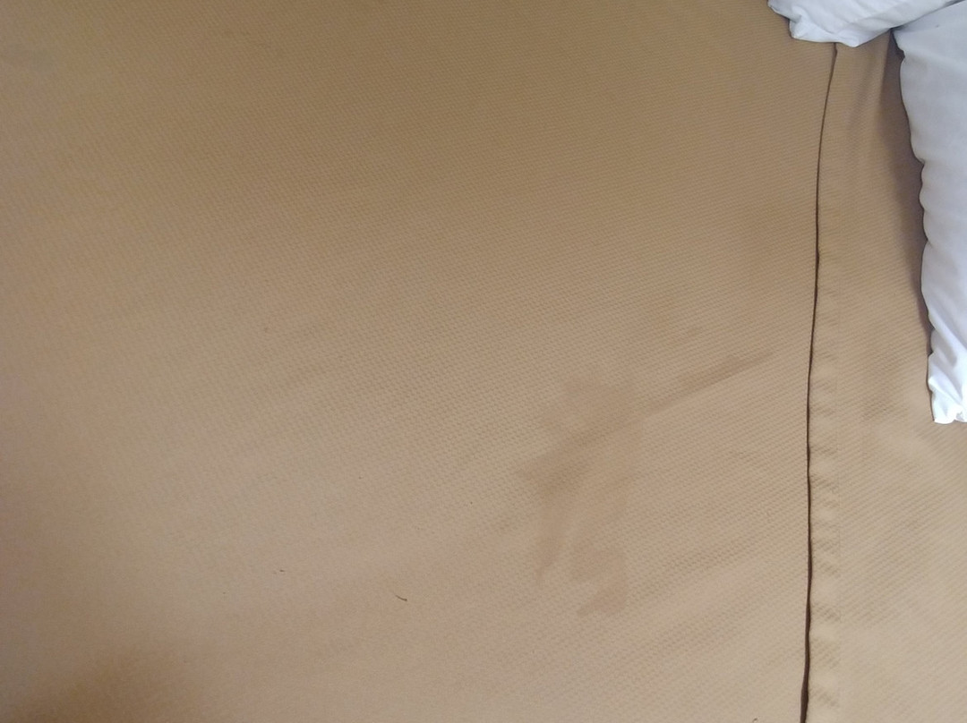 Econo Lodge Inn & Suites Searcy主图