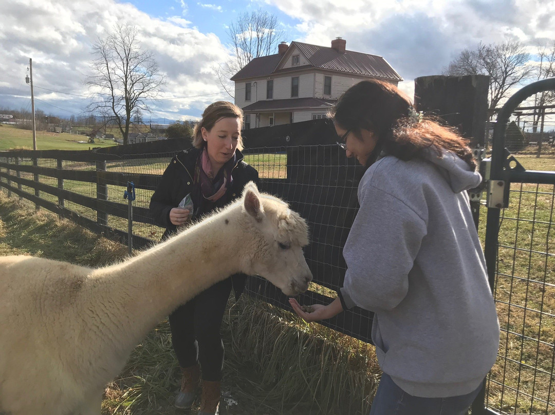 Dreamland Alpacas LLC-Meadowview必去景点