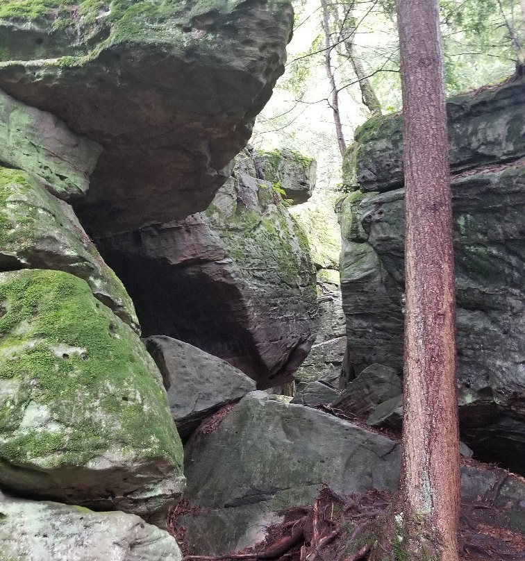 Bilger's Rocks景点图片