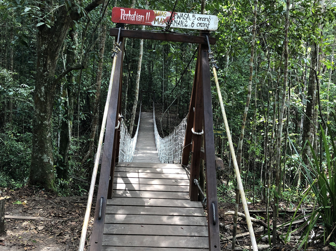 Jurung Tiga Nature Park景点图片