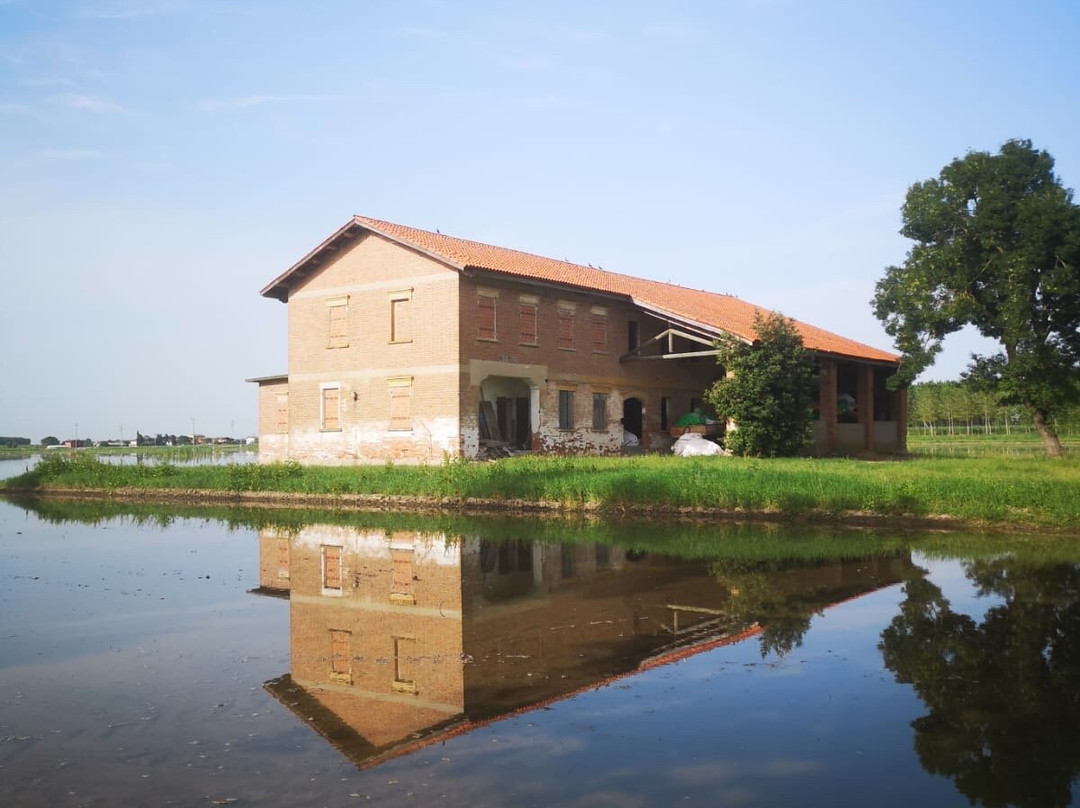 San Giorgio di Livenza旅游景点-Azienda Agricola La Fagiana