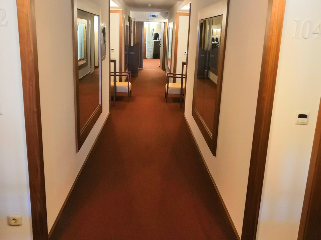 Hotel Danubia Park主图