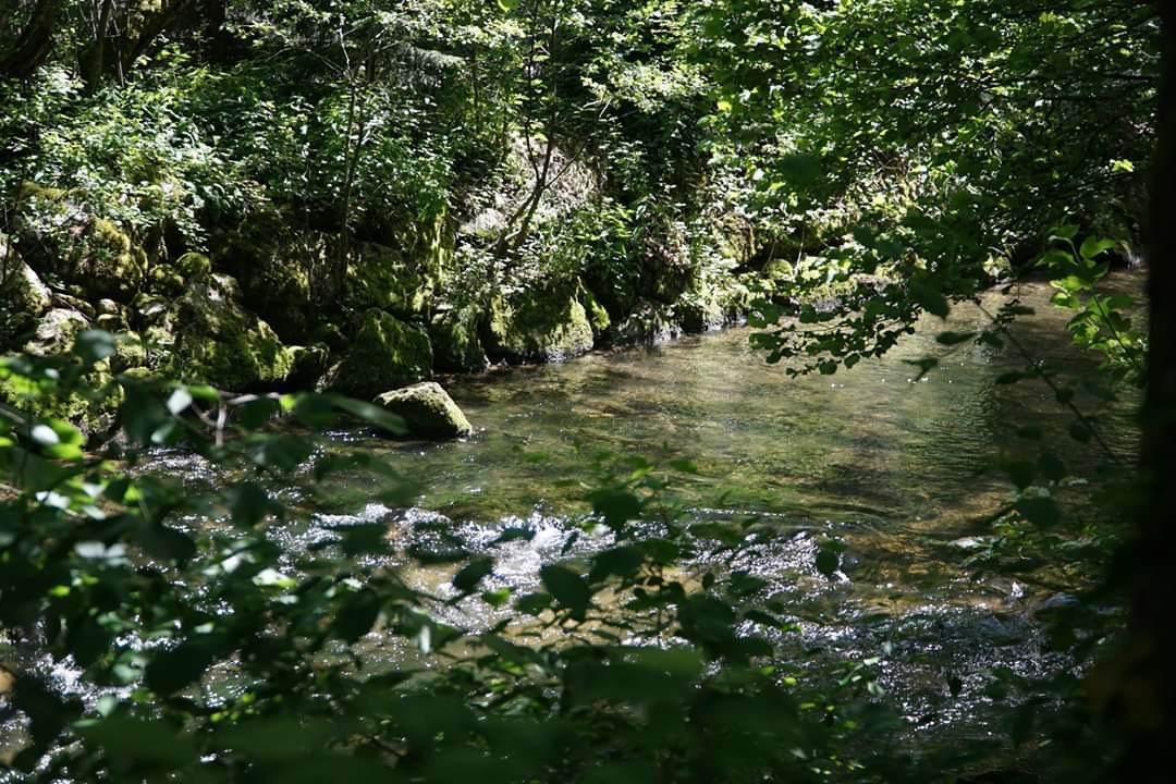 Jura Decouverte Nature-Develier必去景点