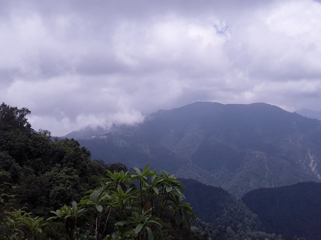 Neora Valley National Park景点图片