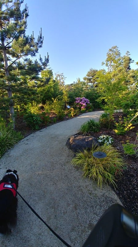 Best Western Premier Boulder Falls Inn主图