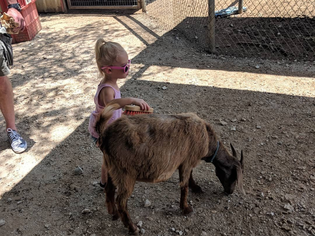 Sharkarosa Wildlife Ranch-Pilot Point必去景点