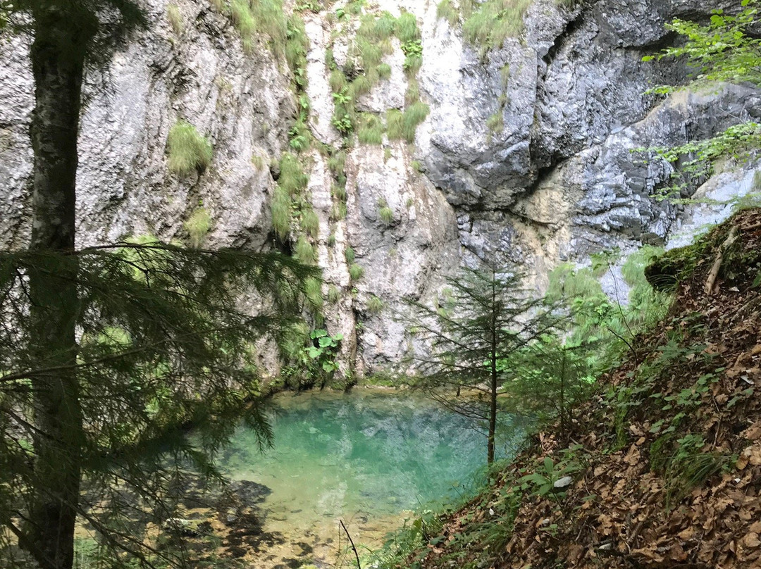 Vartop Cave-Arieseni必去景点