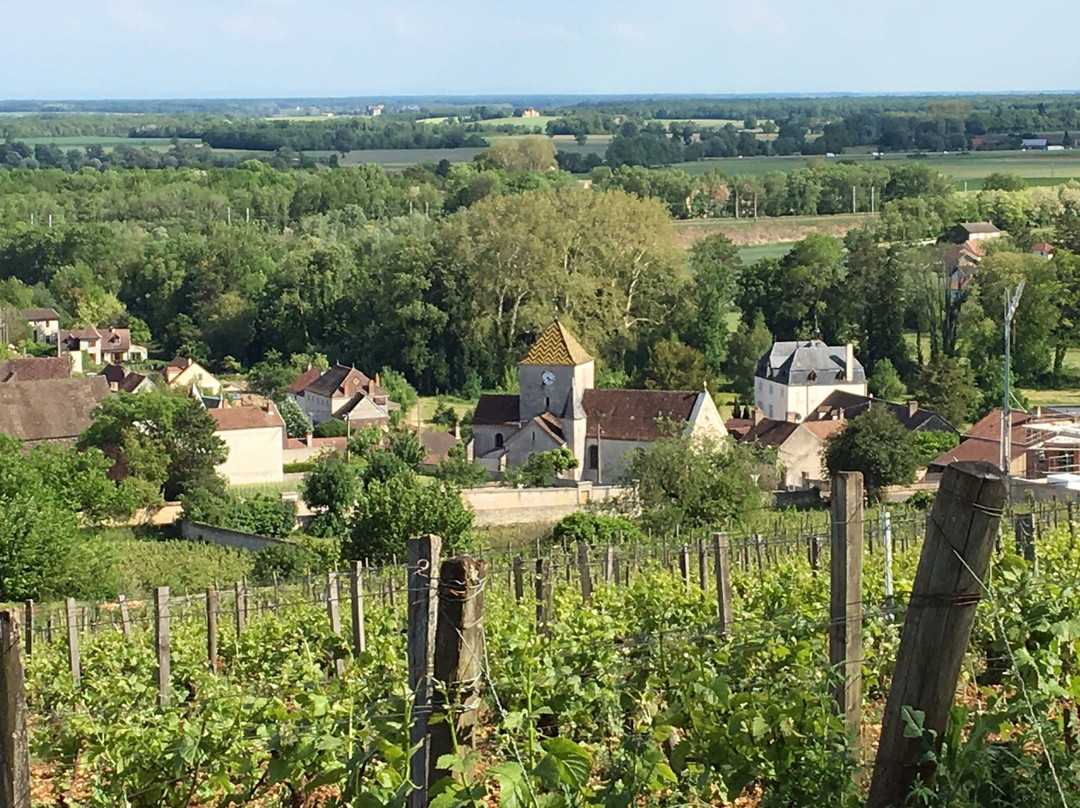 Domaine Gille主图