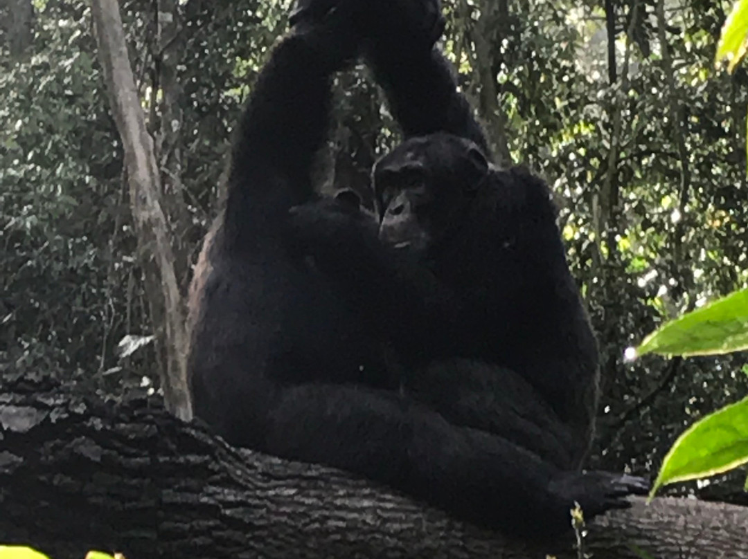 Engagi Safaris-恩德培必去景点