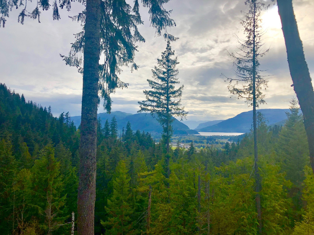 Owlhead Creek Bed &Breakfast主图