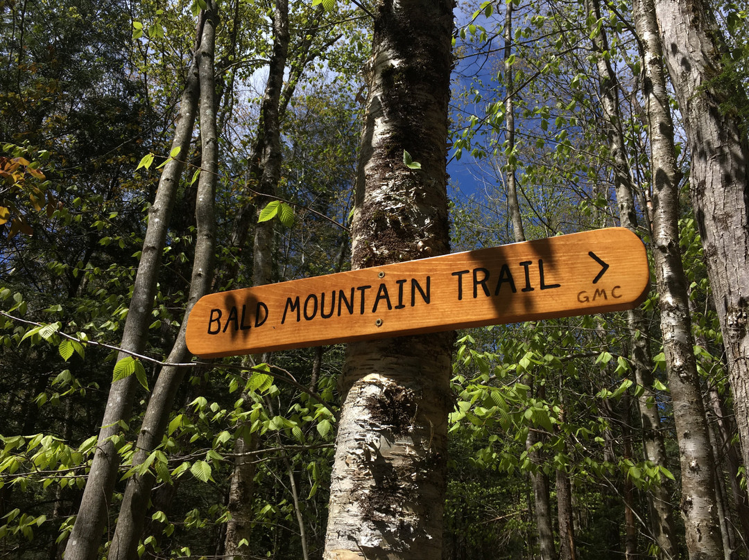 Bald Mountain-Woodford必去景点