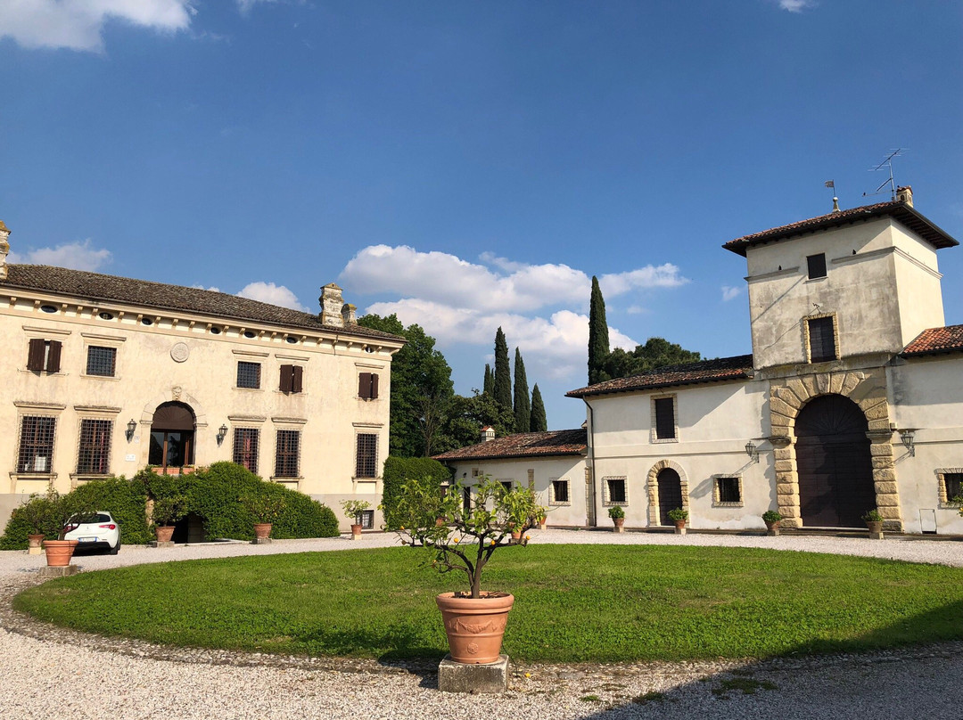 Villa D'arco Apartment主图