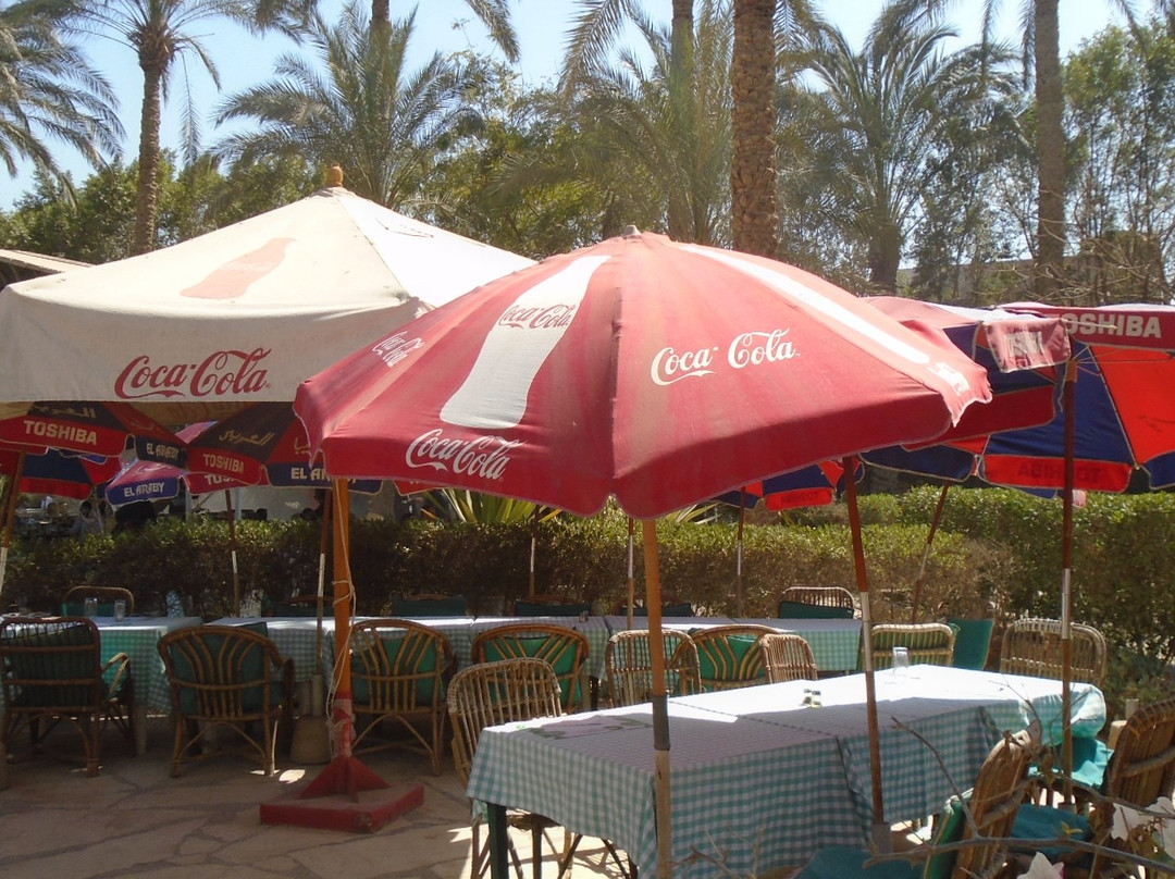 Sakkara Country Club主图