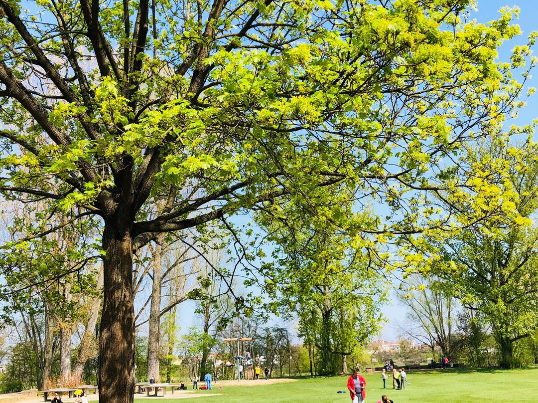Furth Stadtpark景点图片