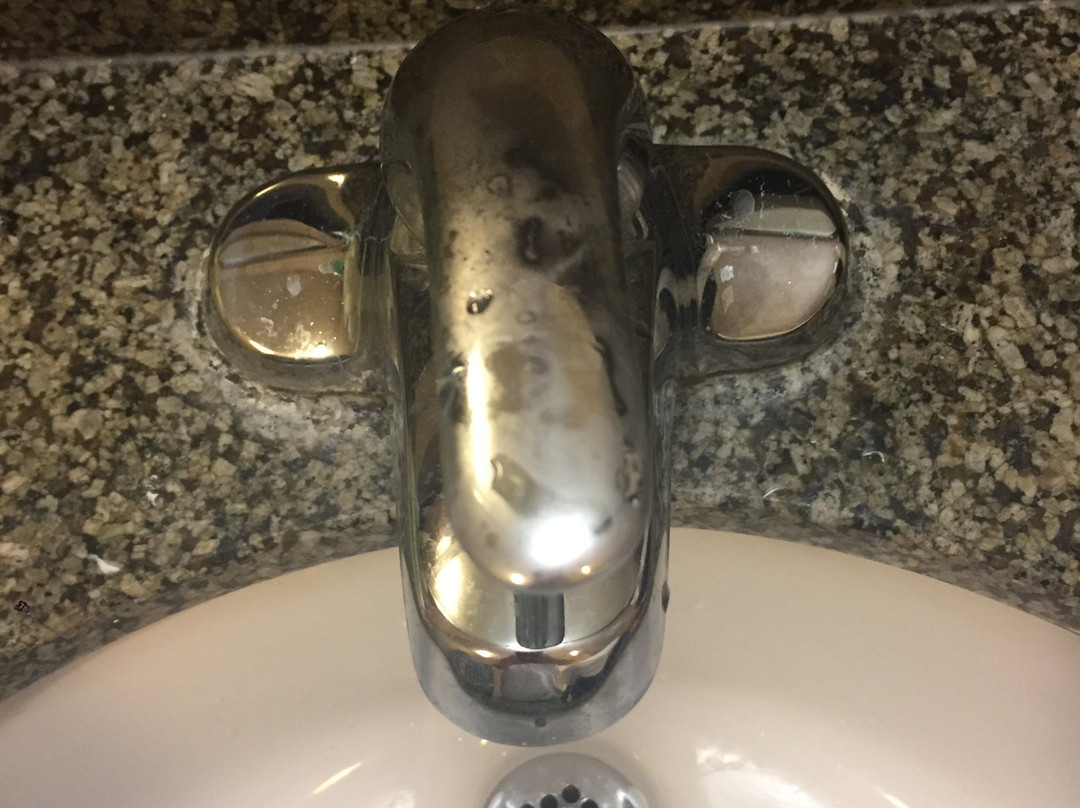 Holiday Inn Express & Suites Largo-clearwater By IHG主图