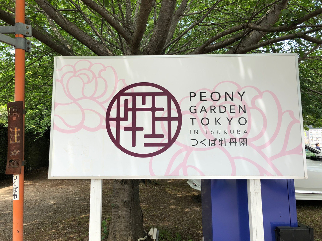 Peony Garden Tokyo (Tsukuba Peony Garden)景点图片