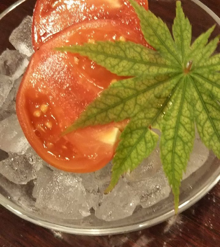 Himaka Kanko Hotel主图