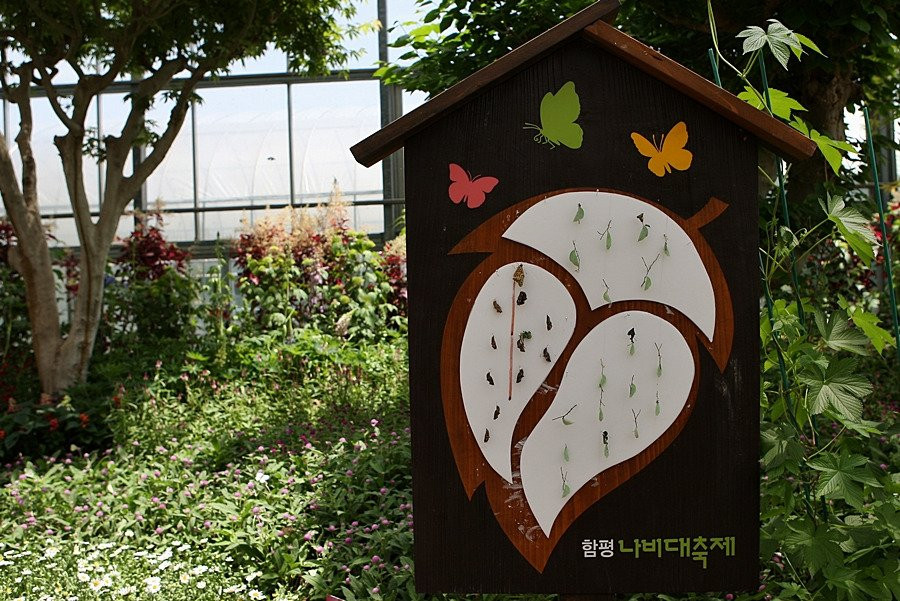 Hampyeong Expo Park - Butterfly Insect Ecosystem-咸平郡必去景点
